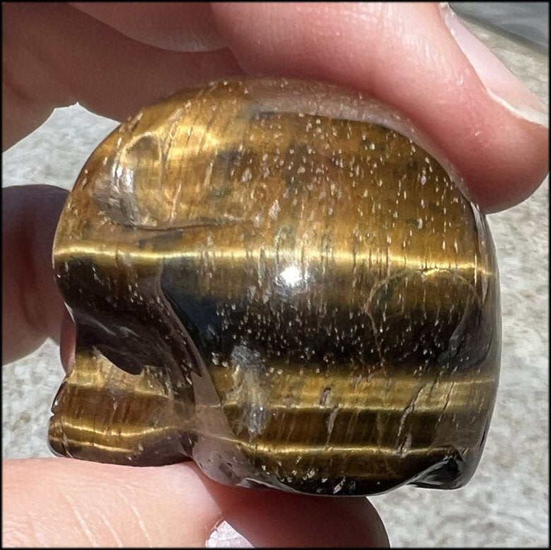 ~Unusual~ Natural Blue AND Golden Tiger Eye CRYSTAL SKULL