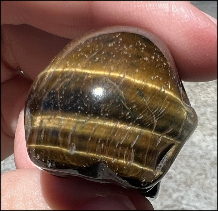 ~Unusual~ Natural Blue AND Golden Tiger Eye CRYSTAL SKULL