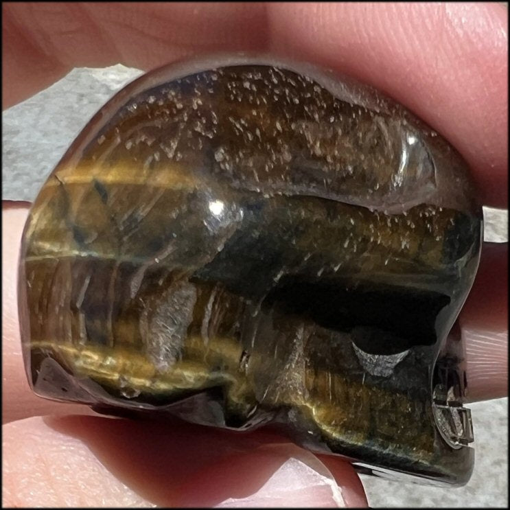 ~Unusual~ Natural Blue AND Golden Tiger Eye CRYSTAL SKULL