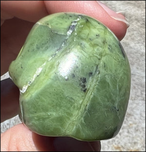 Nephrite Jade CRYSTAL SKULL - Combat negative thoughts, Heart Chakra
