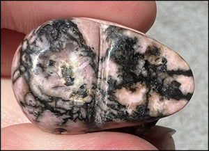Small RHODONITE Collector's Crystal Skull - Open Heart Chakra, Self-Healing