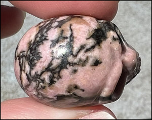 Small RHODONITE Collector's Crystal Skull - Open Heart Chakra, Self-Healing