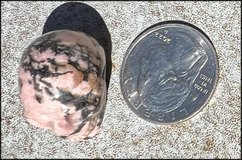 Small RHODONITE Collector's Crystal Skull - Open Heart Chakra, Self-Healing