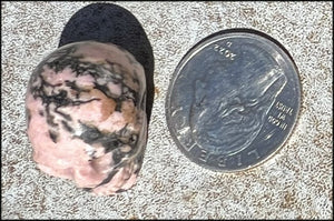 Small RHODONITE Collector's Crystal Skull - Open Heart Chakra, Self-Healing