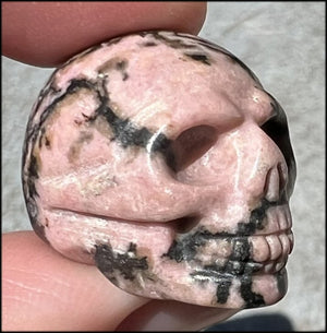 Small RHODONITE Collector's Crystal Skull - Open Heart Chakra, Self-Healing