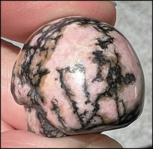 Small RHODONITE Collector's Crystal Skull - Open Heart Chakra, Self-Healing