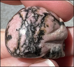 Small RHODONITE Collector's Crystal Skull - Open Heart Chakra, Self-Healing