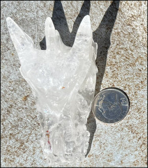 Quartz Dragon Crystal Skull with Multi-Colored Hematite inclusions - Focus, Transformation