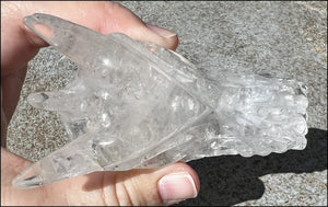 Quartz Dragon Crystal Skull with Chlorite and Hematite inclusions - Focus, Transformation