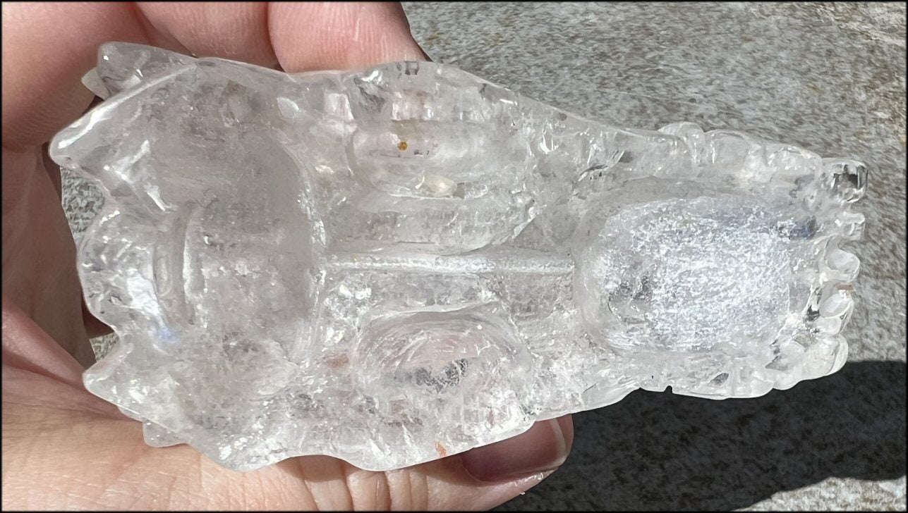 Quartz Dragon Crystal Skull with Chlorite and Hematite inclusions - Focus, Transformation