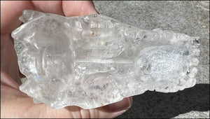 Quartz Dragon Crystal Skull with Chlorite and Hematite inclusions - Focus, Transformation