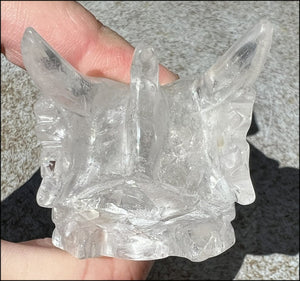 Quartz Dragon Crystal Skull with Chlorite and Hematite inclusions - Focus, Transformation