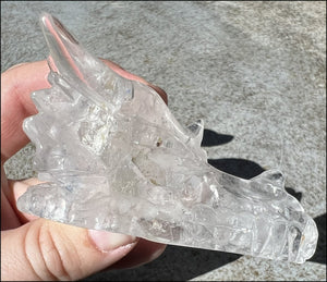 Quartz Dragon Crystal Skull with Chlorite and Hematite inclusions - Focus, Transformation