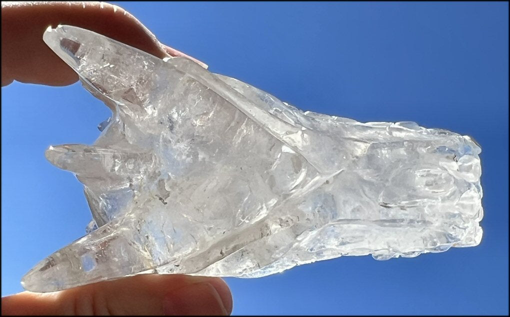 Quartz Dragon Crystal Skull with Chlorite and Hematite inclusions - Focus, Transformation