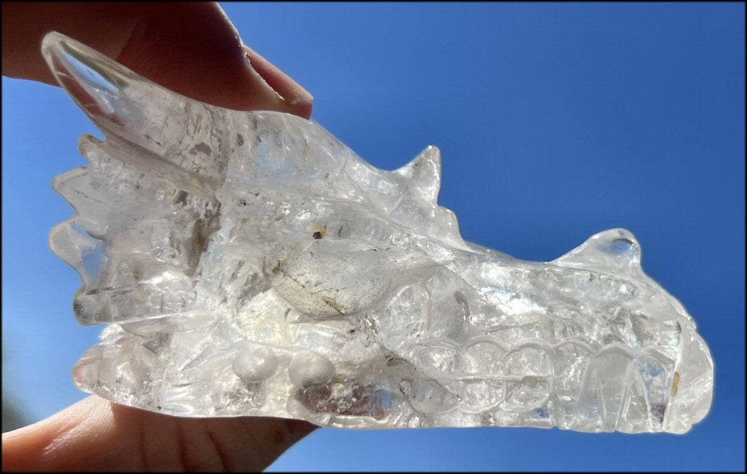 Quartz Dragon Crystal Skull with Chlorite and Hematite inclusions - Focus, Transformation