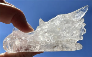 Quartz Dragon Crystal Skull with Chlorite and Hematite inclusions - Focus, Transformation