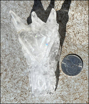 Quartz Dragon Crystal Skull with Chlorite and Hematite inclusions - Focus, Transformation