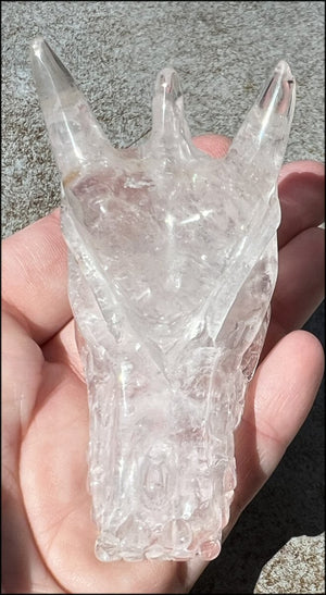 Quartz Dragon Crystal Skull with Chlorite and Hematite inclusions - Focus, Transformation