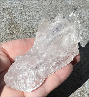 Quartz Dragon Crystal Skull with Chlorite and Hematite inclusions - Focus, Transformation