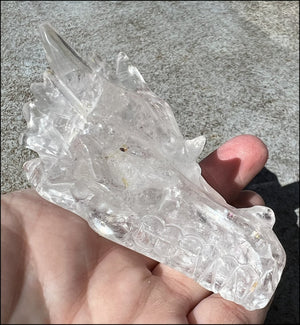 Quartz Dragon Crystal Skull with Chlorite and Hematite inclusions - Focus, Transformation