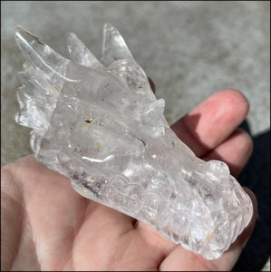 Quartz Dragon Crystal Skull with Chlorite and Hematite inclusions - Focus, Transformation