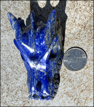 Lapis Lazuli DRAGON Crystal Skull with Metallic PYRITE inclusions - Manifestation, Throat Chakra