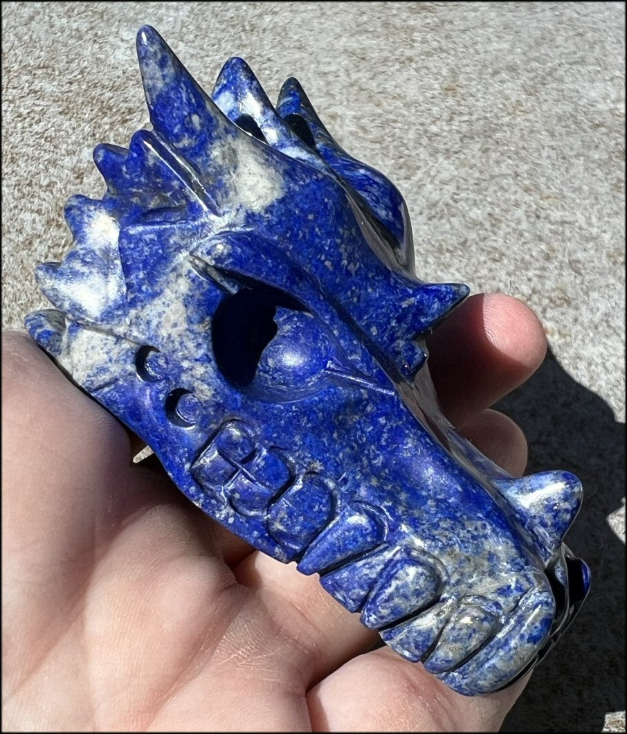 Lapis Lazuli DRAGON Crystal Skull with Metallic PYRITE inclusions - Manifestation, Throat Chakra