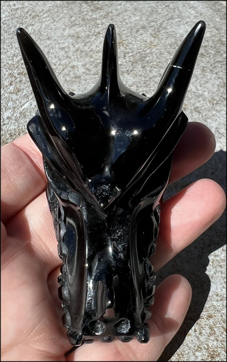 Black OBSIDIAN Dragon Crystal Skull - Grounding! Remove negativity