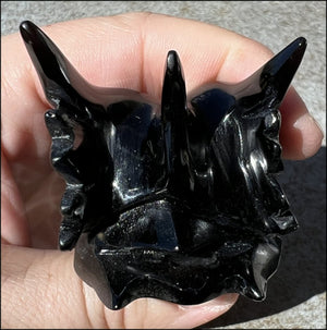 Black OBSIDIAN Dragon Crystal Skull - Grounding! Remove negativity
