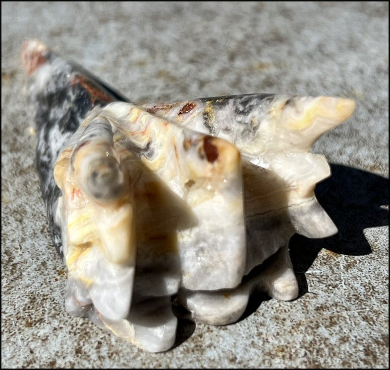 Lg. CRAZY LACE AGATE Phoenix Crystal Skull - Protection, Divination