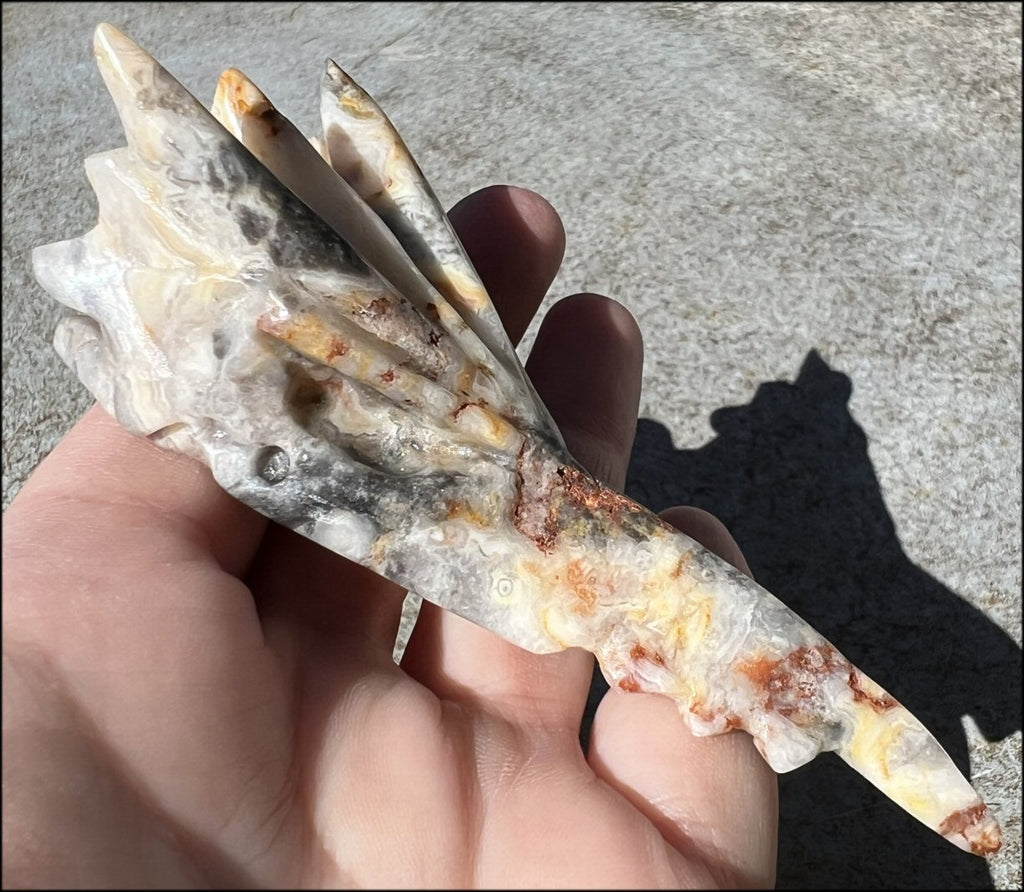 Lg. CRAZY LACE AGATE Phoenix Crystal Skull - Protection, Divination