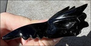 Black Obsidian PHOENIX Crystal Skull - Protection, Remove negativity - Scorpio!