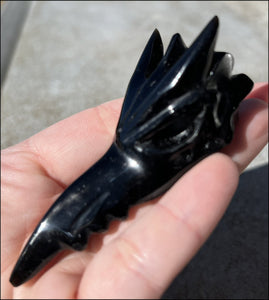 Black Obsidian PHOENIX Crystal Skull - Protection, Remove negativity - Scorpio!
