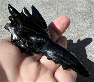 Black Obsidian PHOENIX Crystal Skull - Protection, Remove negativity - Scorpio!