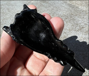 Black Obsidian PHOENIX Crystal Skull - Protection, Remove negativity - Scorpio!