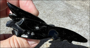 Black Obsidian PHOENIX Crystal Skull - Protection, Remove negativity - Scorpio!
