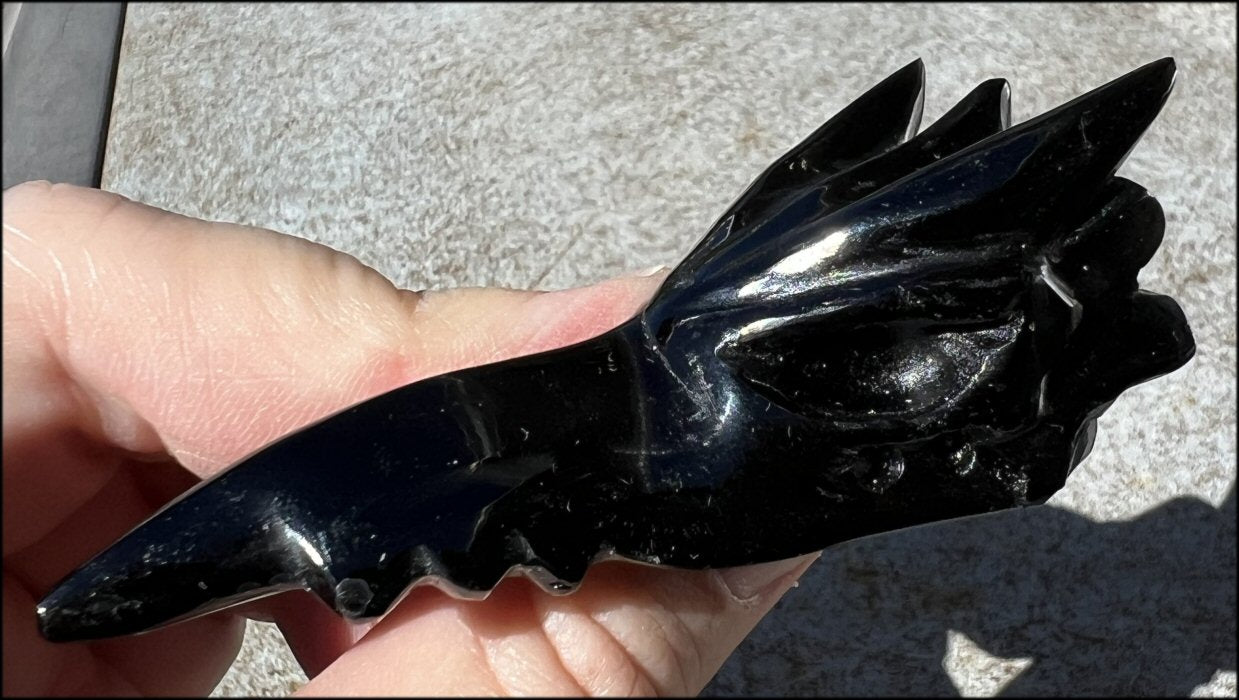 Black Obsidian PHOENIX Crystal Skull - Protection, Remove negativity - Scorpio!