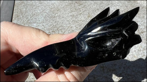 Black Obsidian PHOENIX Crystal Skull - Protection, Remove negativity - Scorpio!