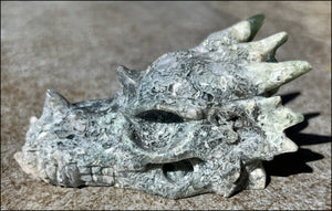 XL Moss Agate DRAGON Crystal Skull - Self-Confidence, Abundance