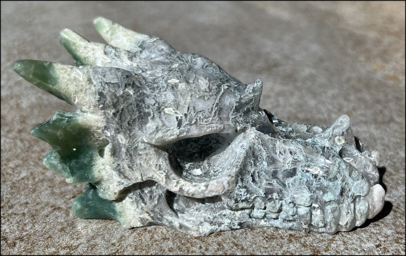 XL Moss Agate DRAGON Crystal Skull - Self-Confidence, Abundance