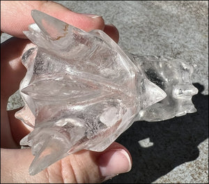 Quartz Dragon Crystal Skull with Tiny Golden Healer Hematite, Focus, Transformation