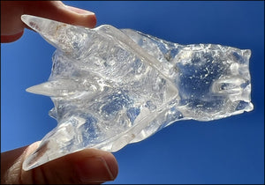 Quartz Dragon Crystal Skull with Tiny Golden Healer Hematite, Focus, Transformation