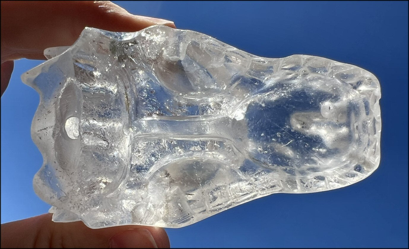 Quartz Dragon Crystal Skull with Tiny Golden Healer Hematite, Focus, Transformation