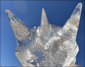 Quartz Dragon Crystal Skull with Tiny Golden Healer Hematite, Focus, Transformation