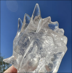 Quartz Dragon Crystal Skull with Tiny Golden Healer Hematite, Focus, Transformation