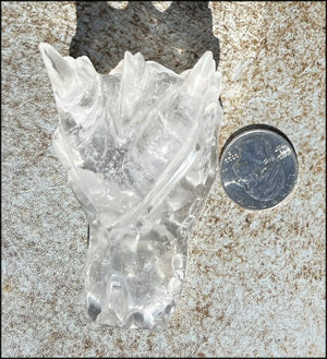 Quartz Dragon Crystal Skull with Tiny Golden Healer Hematite, Focus, Transformation