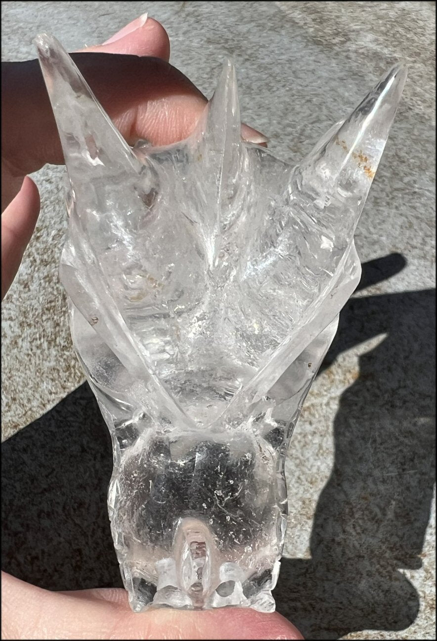 Quartz Dragon Crystal Skull with Tiny Golden Healer Hematite, Focus, Transformation