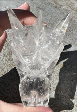 Quartz Dragon Crystal Skull with Tiny Golden Healer Hematite, Focus, Transformation