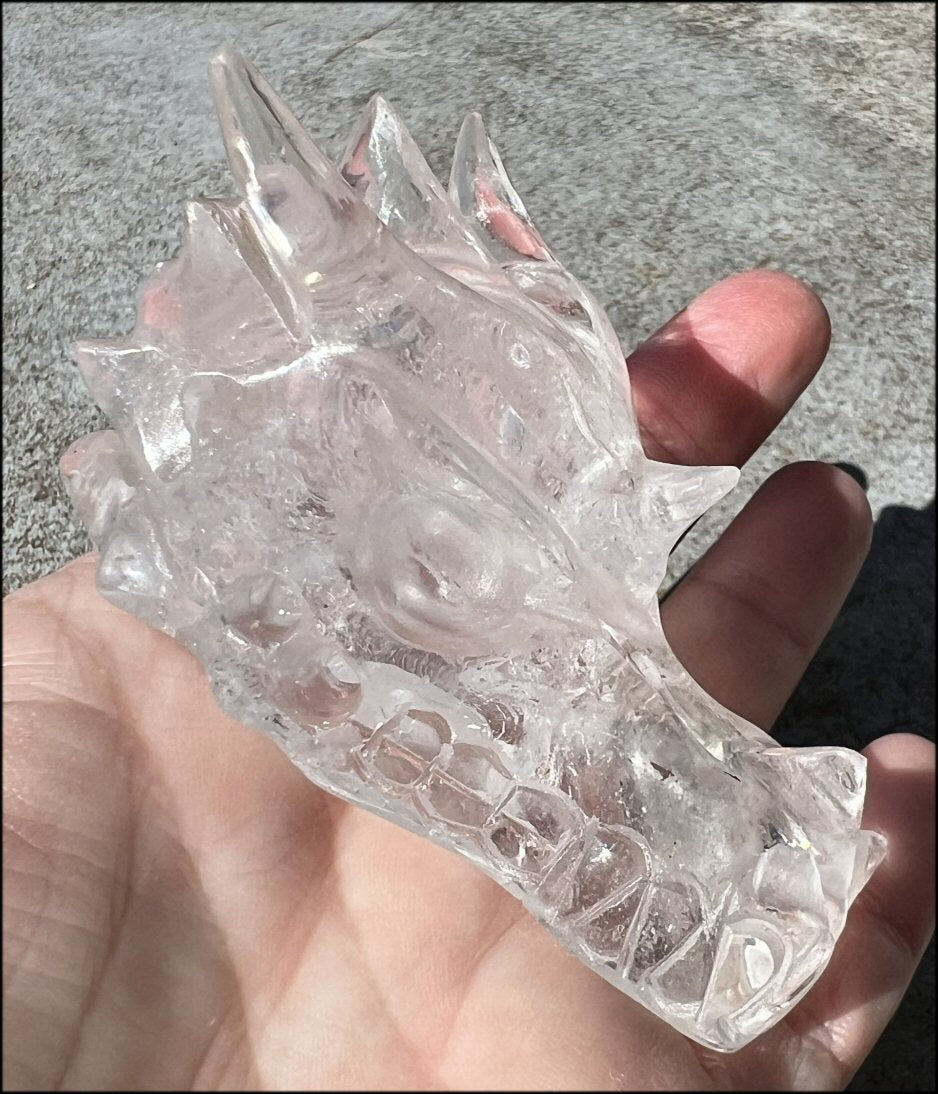 Quartz Dragon Crystal Skull with Tiny Golden Healer Hematite, Focus, Transformation