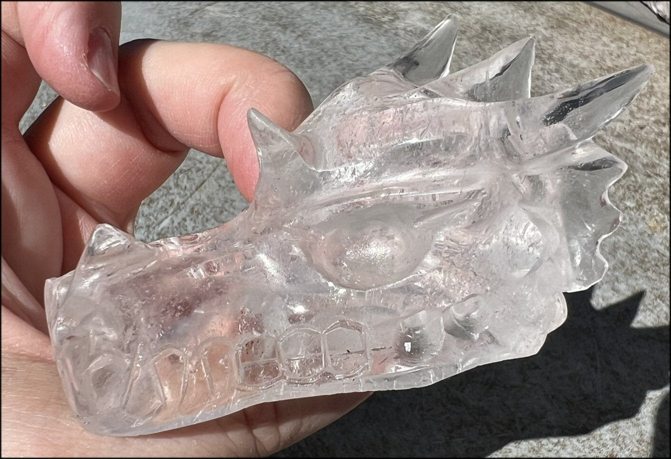 Quartz Dragon Crystal Skull with Tiny Golden Healer Hematite, Focus, Transformation